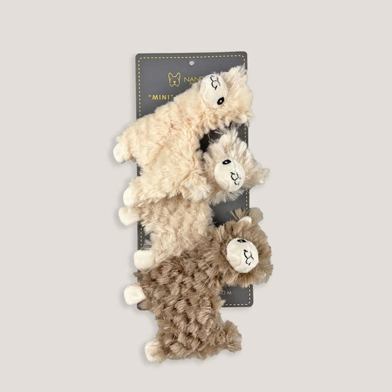 PET GEAR DISTRIBUTORS - NANDOG Mini Alpaca Dog Toy 3 PK  Image