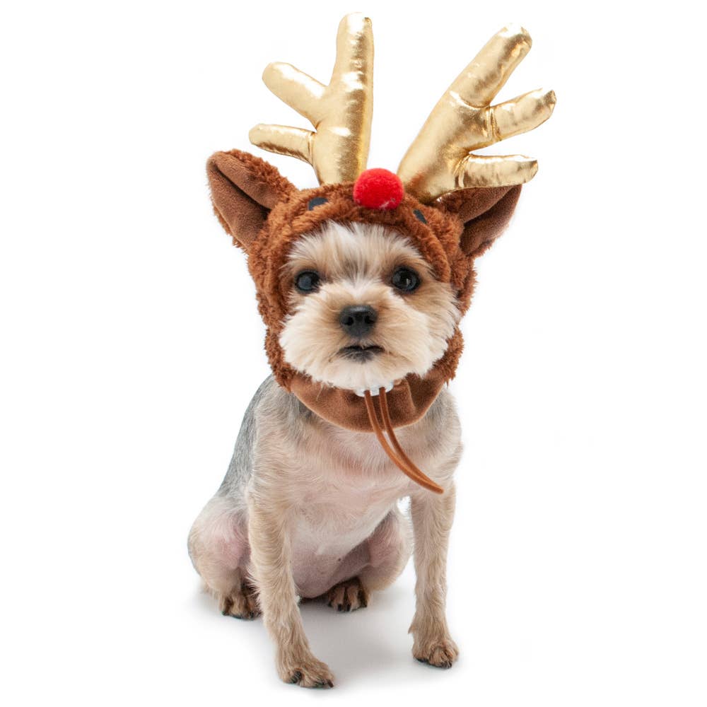 Dogo Pet - Rudolph Hat  Image