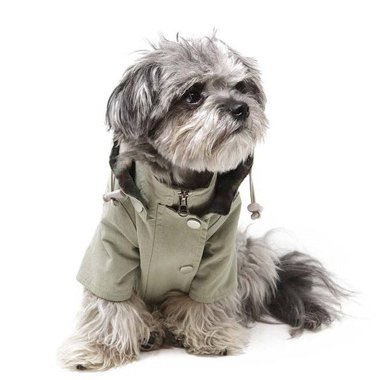 MiAmore Dog Raincoats Xtra-Small Image