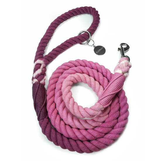 Load image into Gallery viewer, Cotton Rope Dog Leash Raspberry/Purple Image
