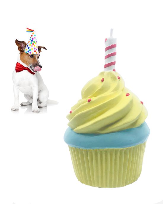 Birthday Cupcake Squeaky Natural  Rubber Dog Toy Medium Size  Image