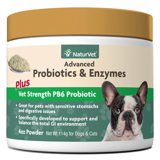 NaturVet Advanced Probiotics and Enzymes Powder Supplement  Image