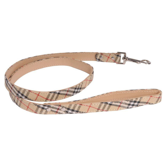 Benson Leash  Image