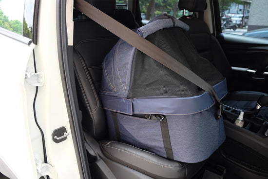 cleo dog stroller CLEO 3-in-1 Travel System Stroller – The Dog Bar