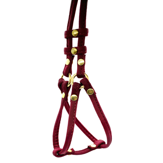 Load image into Gallery viewer, Dog Bar Brass Step-In Nylon Dog Harness w/ Leash Petite (2 lbs.) Image
