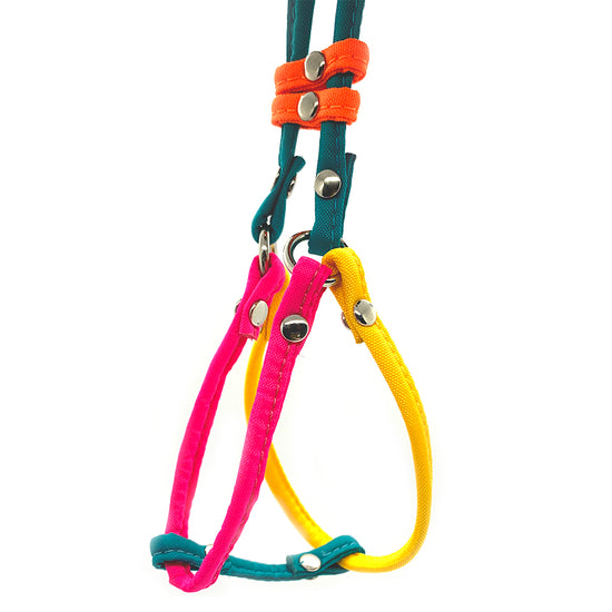 Load image into Gallery viewer, Dog Bar Step-In Nylon Dog Harness w/ Leash Petite (2 lbs.) Image
