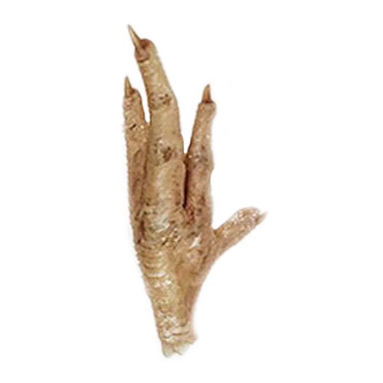 Freeze-Dried Chicken Feet Treat  Image