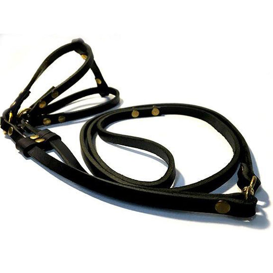 Dog Bar Equestrian Step-In Harness w/ Leash Black Image