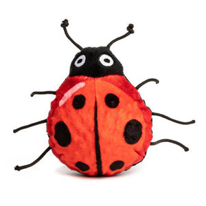 Ladybug Funball  Image