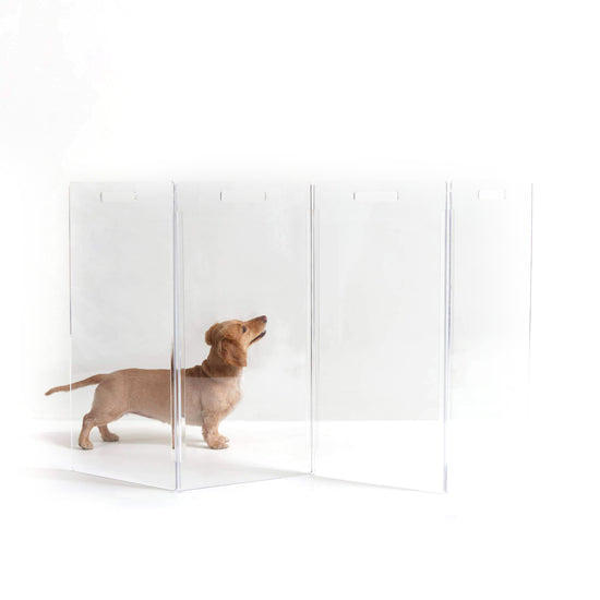 Load image into Gallery viewer, Clear Zig Zag Pet Gate  Image
