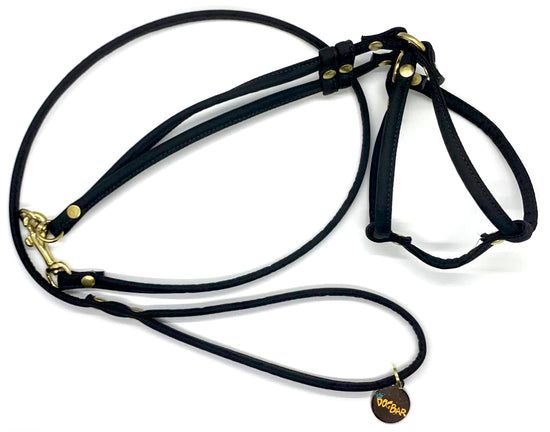 Load image into Gallery viewer, Dog Bar Brass Step-In Nylon Dog Harness w/ Leash  Image
