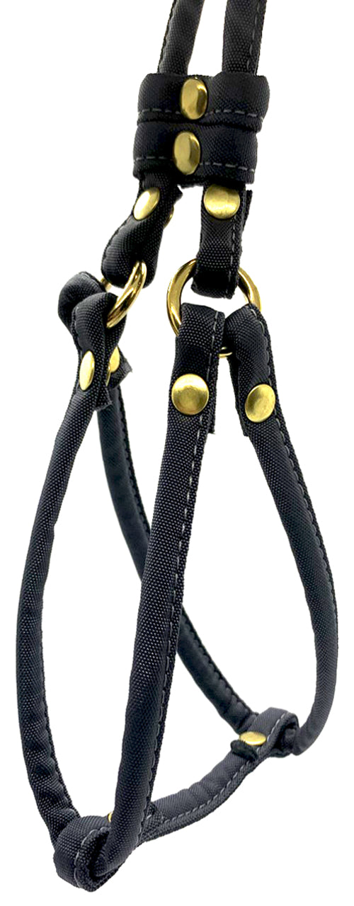 Load image into Gallery viewer, Dog Bar Brass Step-In Nylon Dog Harness w/ Leash  Image
