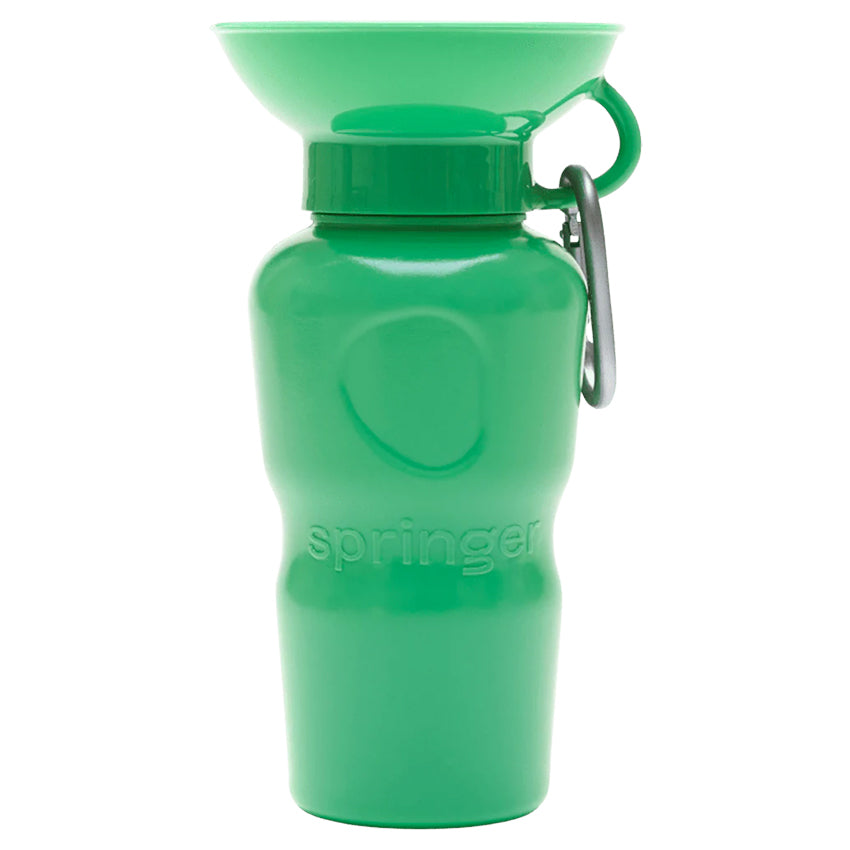 Springer Classic Travel Bottle Green Image