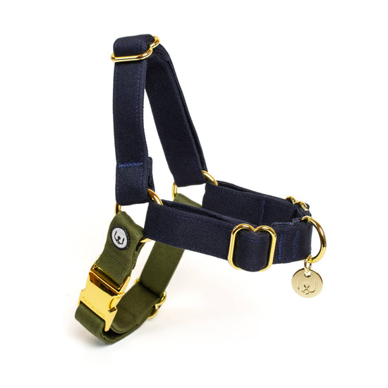 Eat Play Wag No-Pull Harnesses Navy/Olive Image