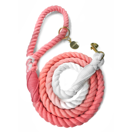 Load image into Gallery viewer, Cotton Rope Dog Leash Quartz Pink Image
