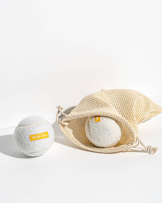 Wild One - Set of 4 Wild One Tennis Balls in White  Image