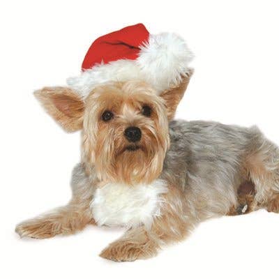 Load image into Gallery viewer, Dogo Pet - Santa Hat  Image
