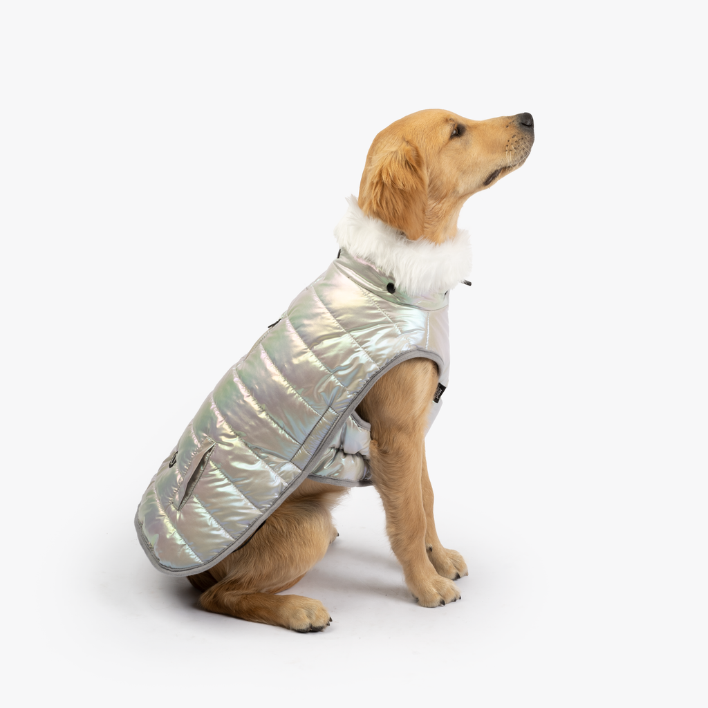 Nikka Easy Fit Jacket (Silver) – The Dog Bar