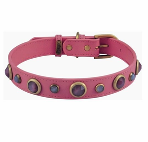 
            
                Load image into Gallery viewer, Dosha Imperial Dog Collar  Image
            
        