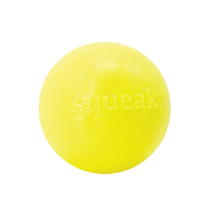 
            
                Load image into Gallery viewer, Pet Palette Distribution - Planet Dog Orbee-Tuff Squeak Ball Dog Yellow  Image
            
        
