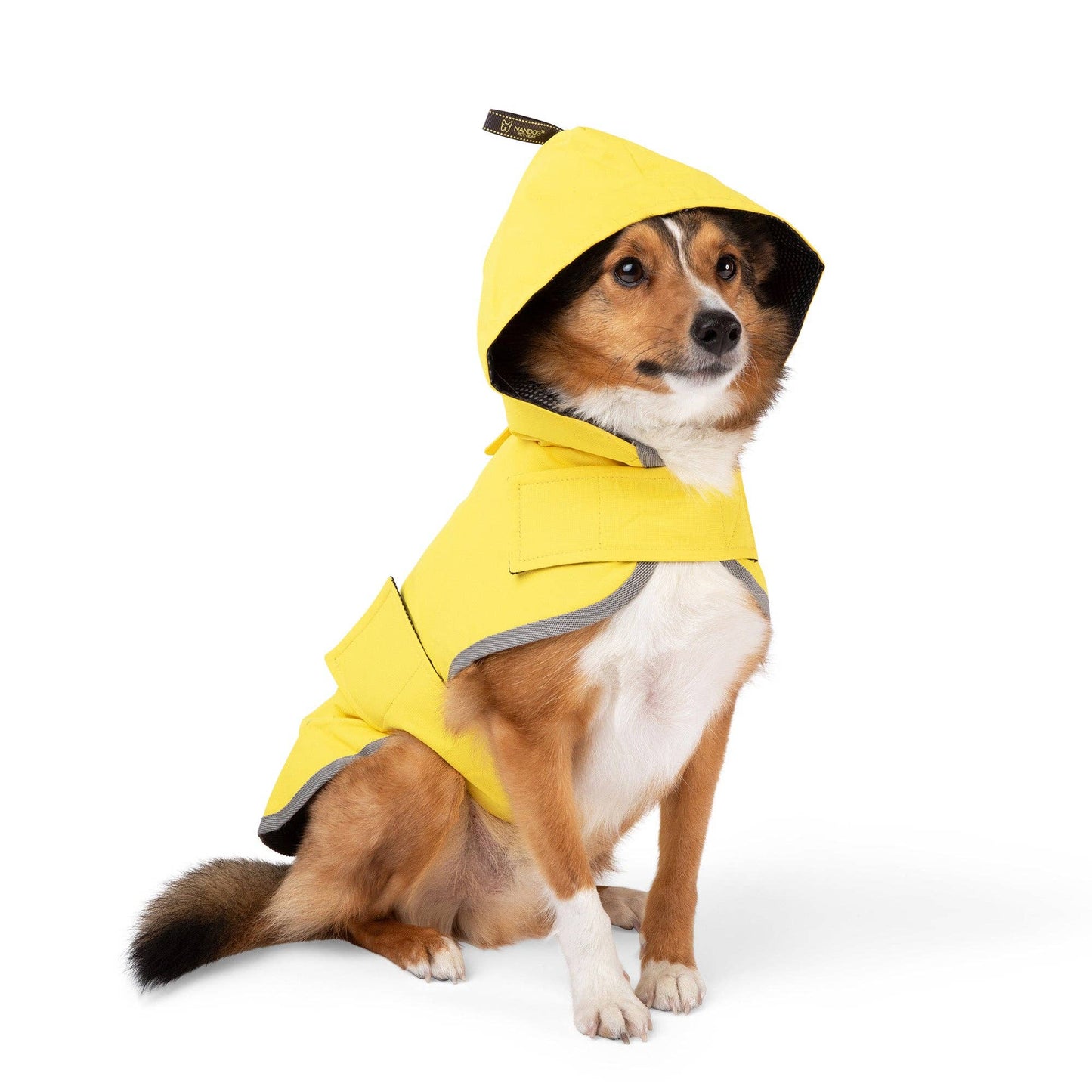 Nandog Pet Gear - Rain Coat Nandog Sport Collection: L  Image