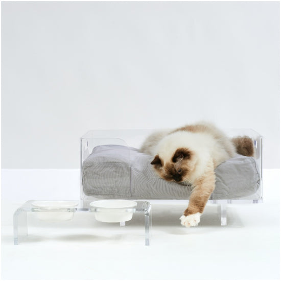 Load image into Gallery viewer, Crystal Clear Pet Bed Set  Image
