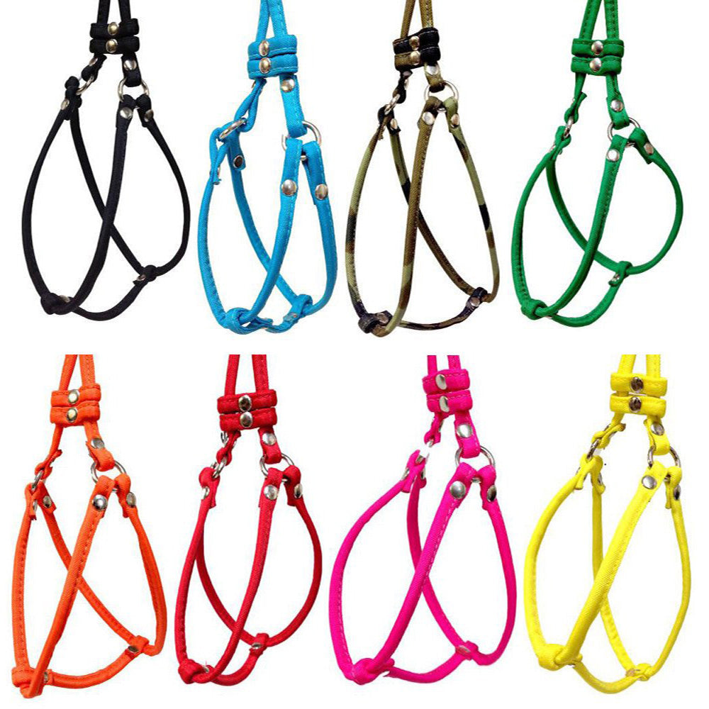Load image into Gallery viewer, Dog Bar Step-In Nylon Dog Harness w/ Leash Petite (2 lbs.) Image
