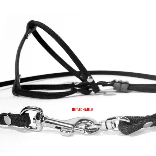 Load image into Gallery viewer, Dog Bar Step-In Nylon Dog Harness w/ Leash  Image
